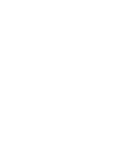 AMITHA Logomark (White)